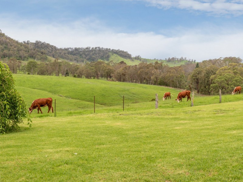 294 Polacks Flat Road, Bemboka NSW 2550