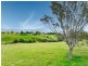 423 Sams Corner Road, Bemboka NSW 2550