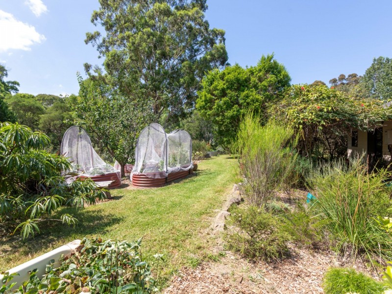 127 McGregors Road, Bega NSW 2550