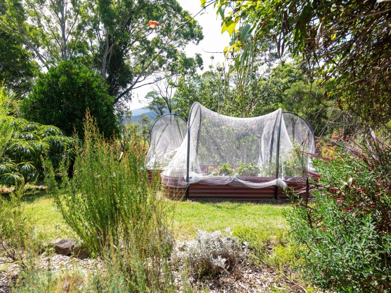 127 McGregors Road, Bega NSW 2550