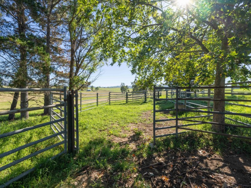 684 West Kameruka Road, Candelo NSW 2550