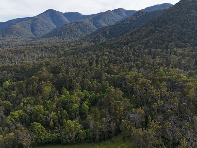 492 Yankees Gap Road, Bemboka NSW 2550