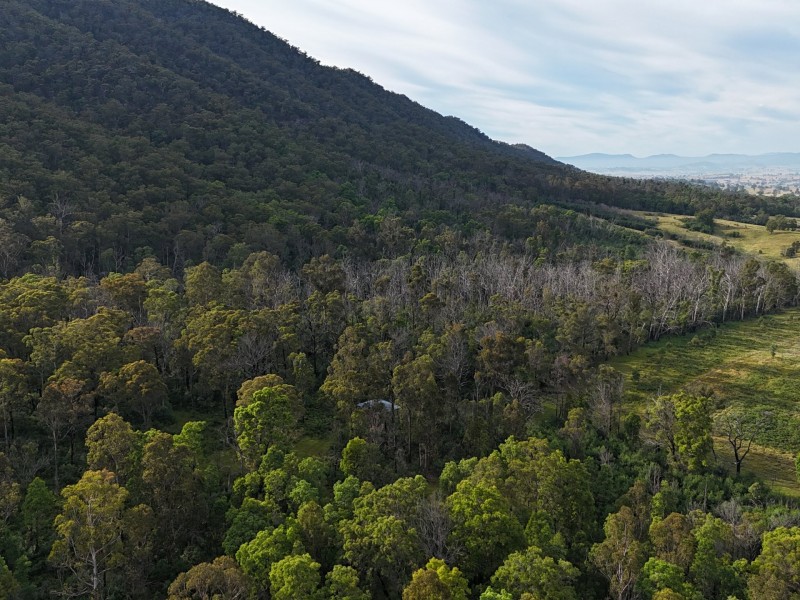 492 Yankees Gap Road, Bemboka NSW 2550