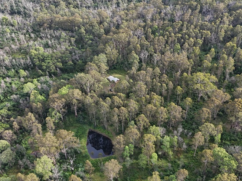 492 Yankees Gap Road, Bemboka NSW 2550