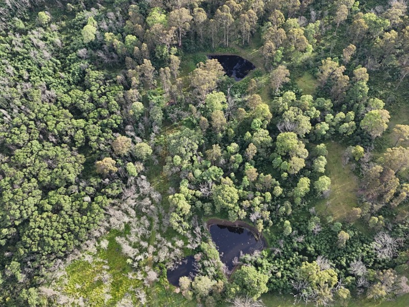 492 Yankees Gap Road, Bemboka NSW 2550