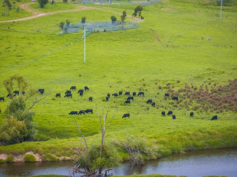 Lot 221 Virginia Drive, Bega NSW 2550