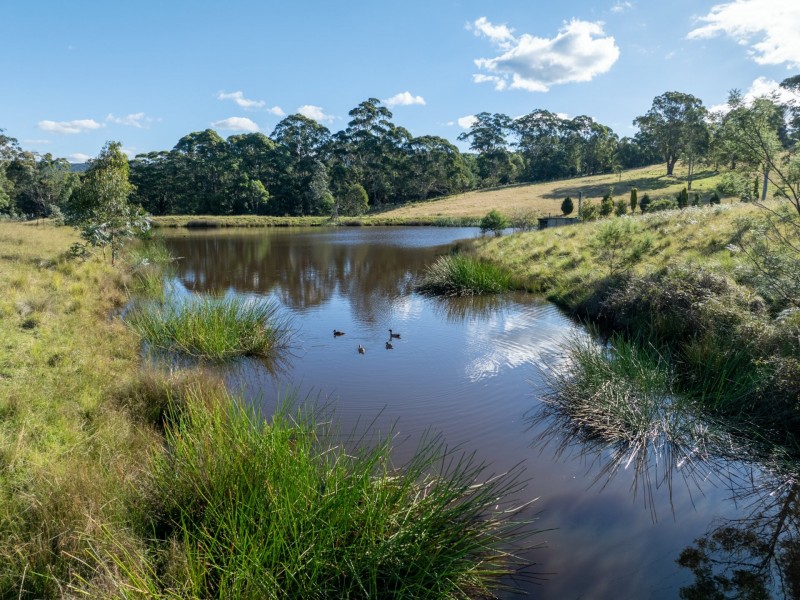 50 Stockridge Road, Brogo NSW 2550