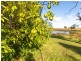 50 Stockridge Road, Brogo NSW 2550