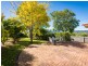 55 Carp Street, Bega NSW 2550