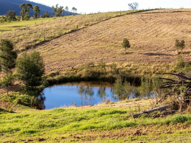 334 Yowrie Road, Cobargo NSW 2550