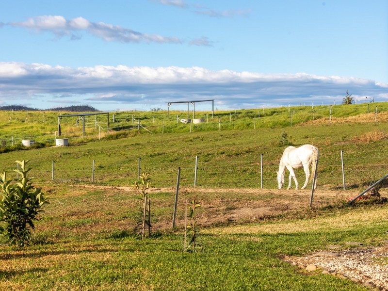 334 Yowrie Road, Cobargo NSW 2550
