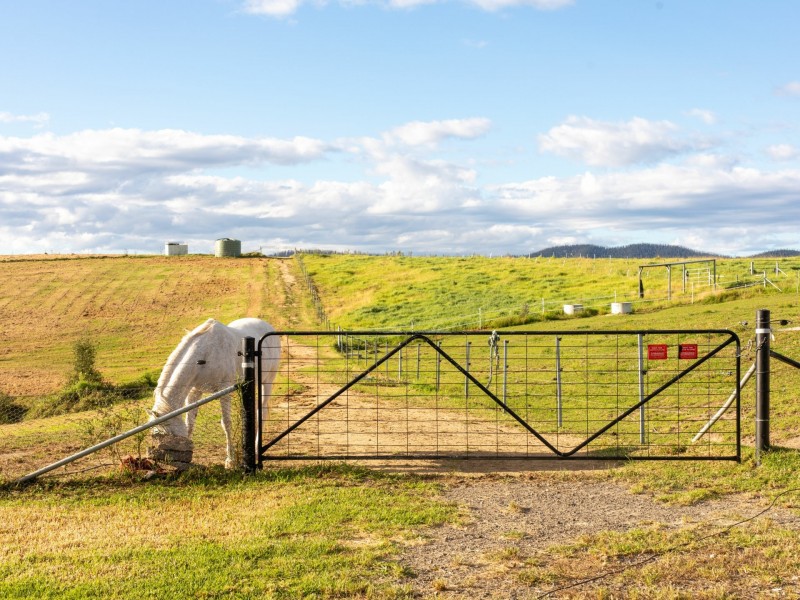 334 Yowrie Road, Cobargo NSW 2550