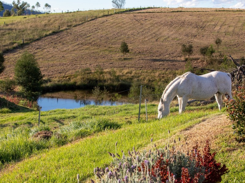 334 Yowrie Road, Cobargo NSW 2550