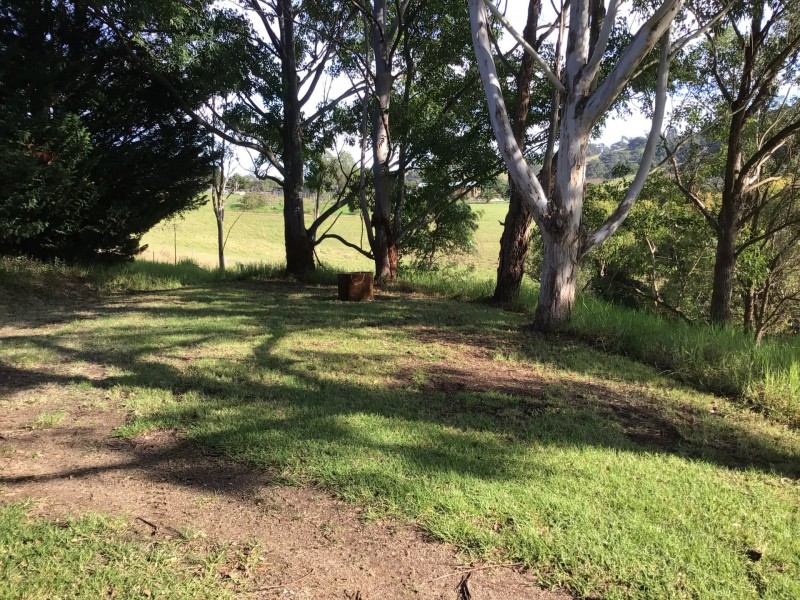 141B Spring Creek Road, Buckajo NSW 2550