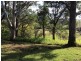 141B Spring Creek Road, Buckajo NSW 2550