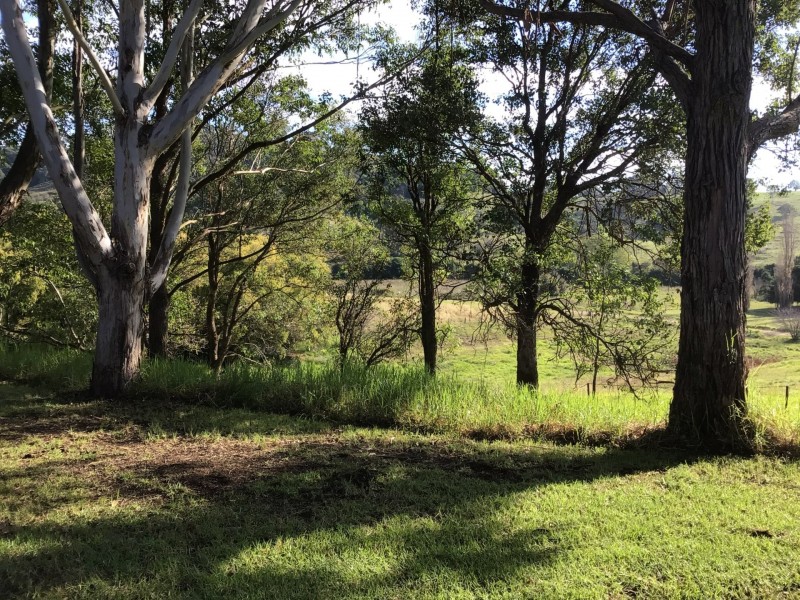141B Spring Creek Road, Buckajo NSW 2550