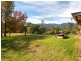 212 Moons Road, Bemboka NSW 2550