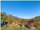 1020 Upper Brogo Road, Brogo NSW 2550
