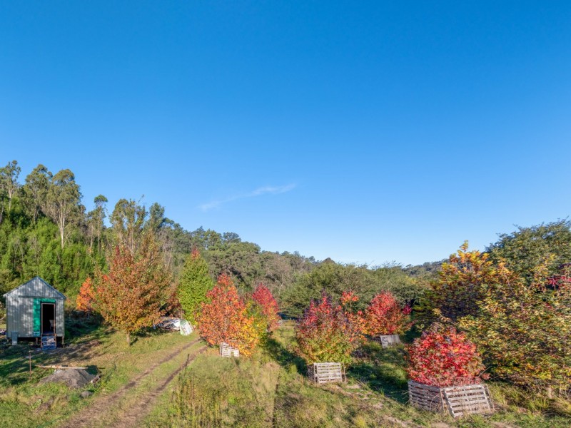 1020 Upper Brogo Road, Brogo NSW 2550