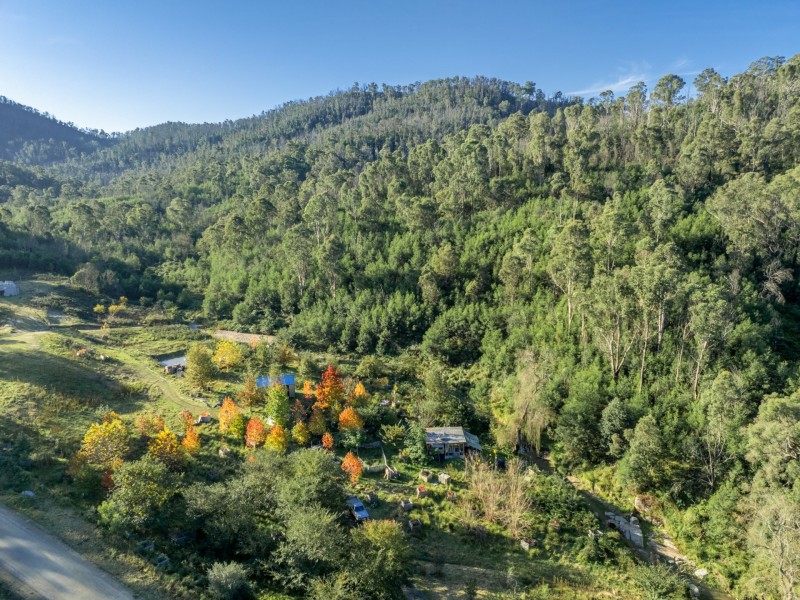 1020 Upper Brogo Road, Brogo NSW 2550