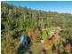 1020 Upper Brogo Road, Brogo NSW 2550