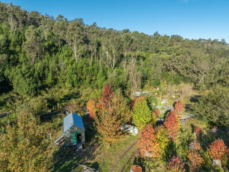1020 Upper Brogo Road, Brogo NSW 2550