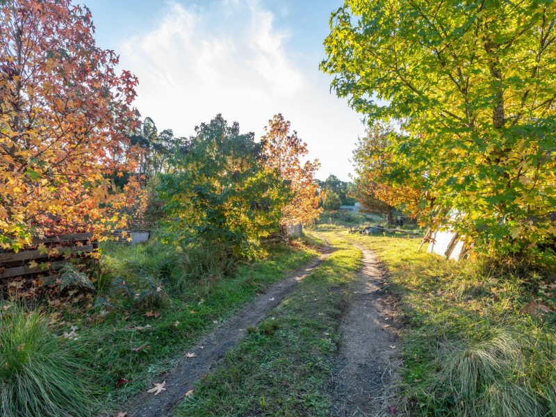 1020 Upper Brogo Road, Brogo NSW 2550