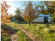1020 Upper Brogo Road, Brogo NSW 2550