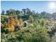 1020 Upper Brogo Road, Brogo NSW 2550