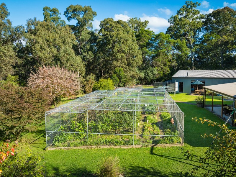 277 Reedy Swamp Road, Bega NSW 2550