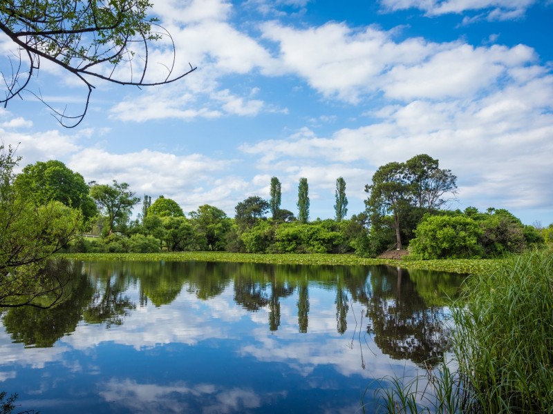 1 Orange Roughy Road, Bega NSW 2550
