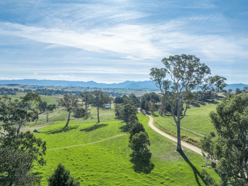 850 Mogilla Road, Candelo NSW 2550