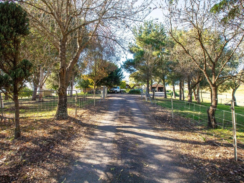 850 Mogilla Road, Candelo NSW 2550