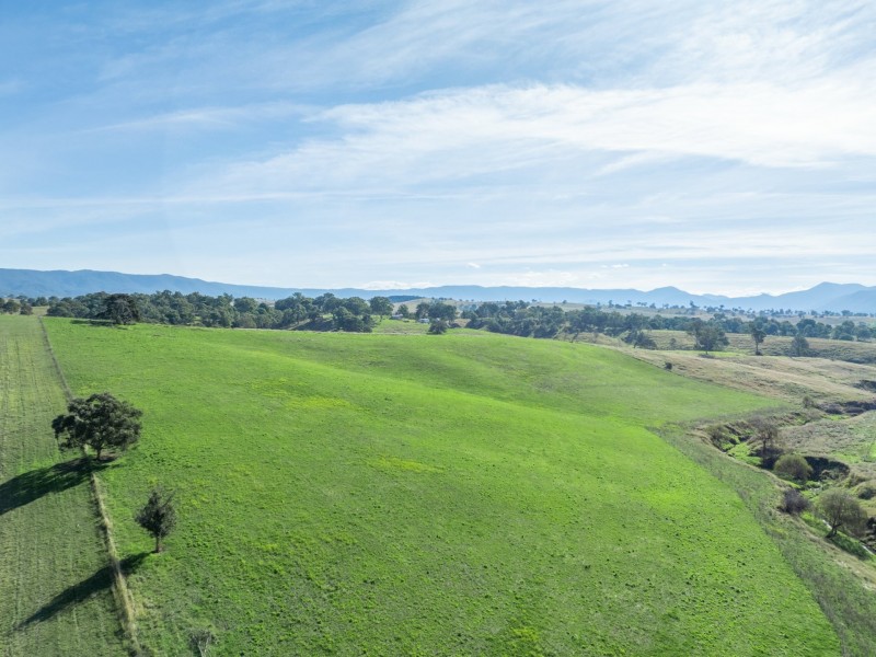850 Mogilla Road, Candelo NSW 2550