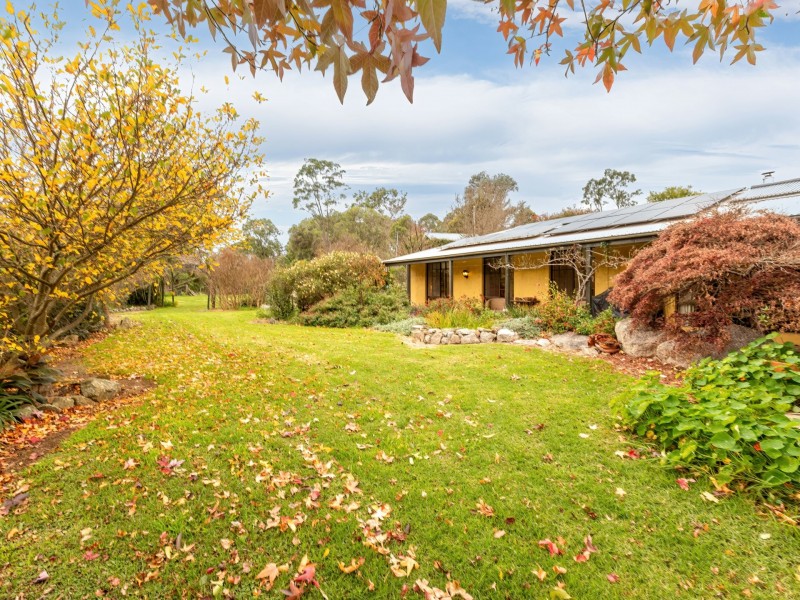 280 Daisy Hill Road, Bega NSW 2550