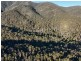 Lot 42 Yankees Gap Road, Bemboka NSW 2550