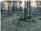 Lot 42 Yankees Gap Road, Bemboka NSW 2550