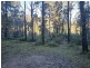 Lot 42 Yankees Gap Road, Bemboka NSW 2550
