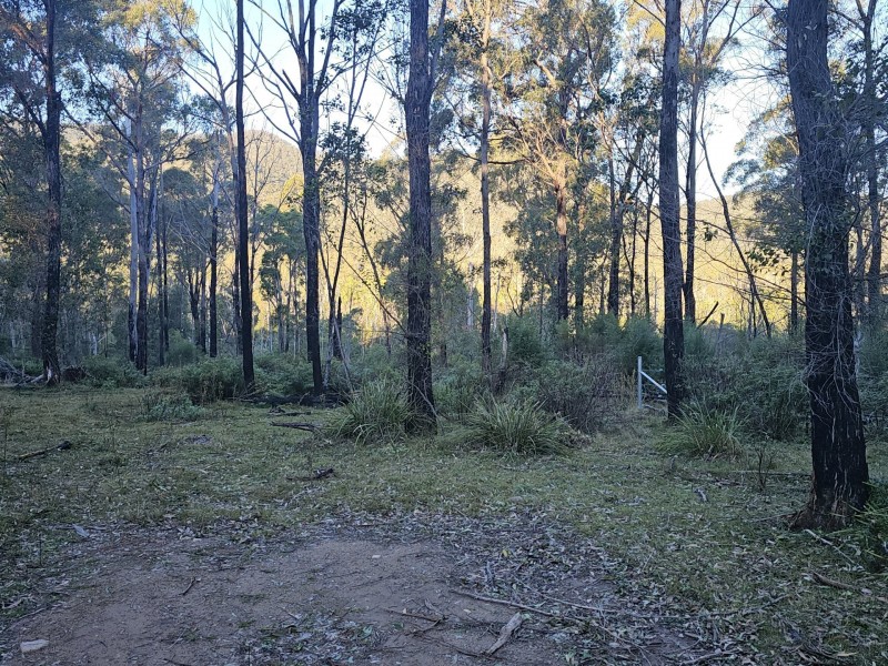 Lot 42 Yankees Gap Road, Bemboka NSW 2550