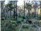 Lot 42 Yankees Gap Road, Bemboka NSW 2550