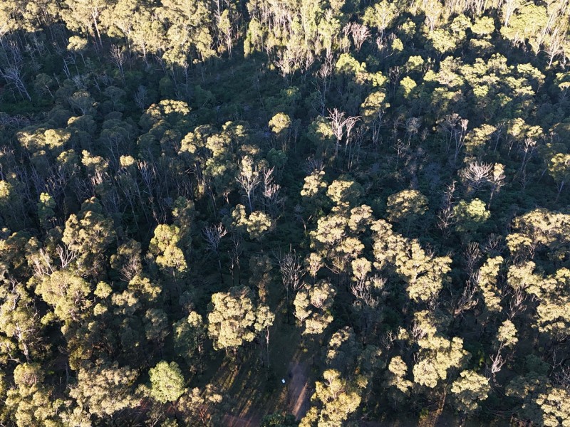 Lot 42 Yankees Gap Road, Bemboka NSW 2550
