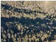 Lot 42 Yankees Gap Road, Bemboka NSW 2550