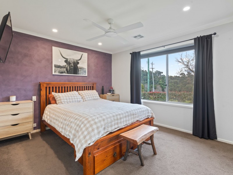 269 Daisy Hill Road, Bega NSW 2550