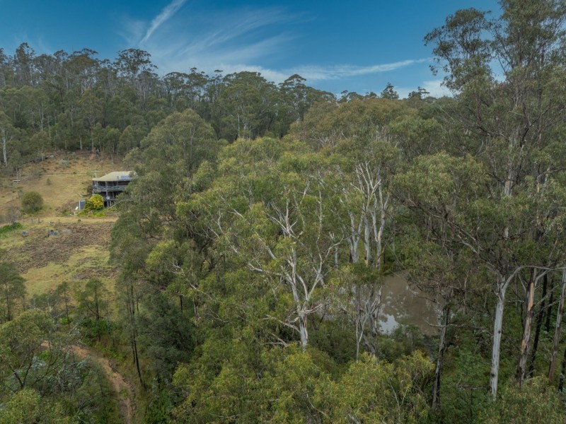 Lot 210 DP750243 Mt Darragh Road, Wyndham NSW 2550