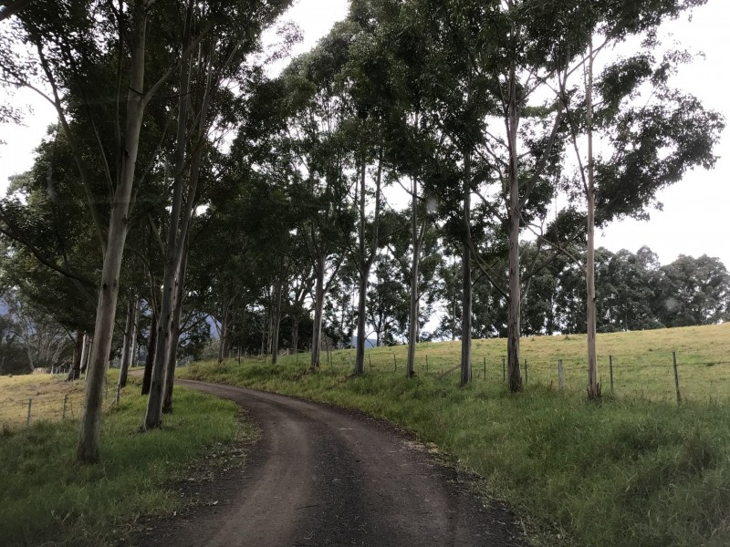 195 Jews Creek Road, Bega NSW 2550