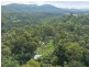 119 Harris Road, Brogo NSW 2550