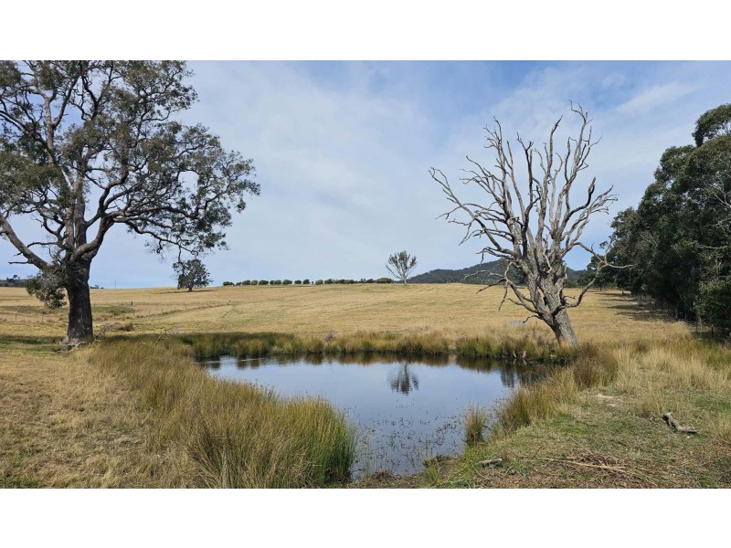 Lot 13 DP1102840 Slaters Lane, Candelo NSW 2550