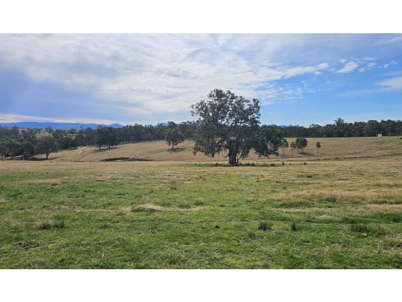 Lot 13 DP1102840 Slaters Lane, Candelo NSW 2550