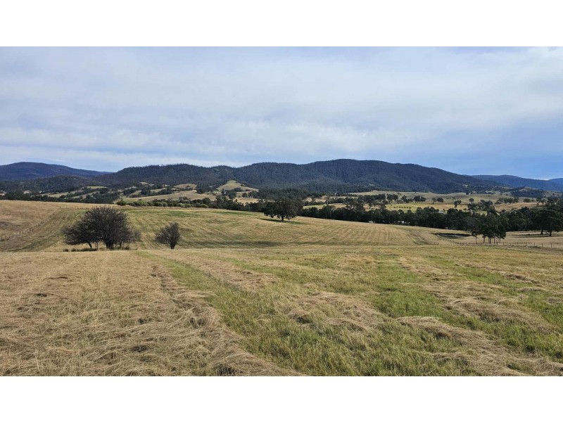 Lot 13 DP1102840 Slaters Lane, Candelo NSW 2550