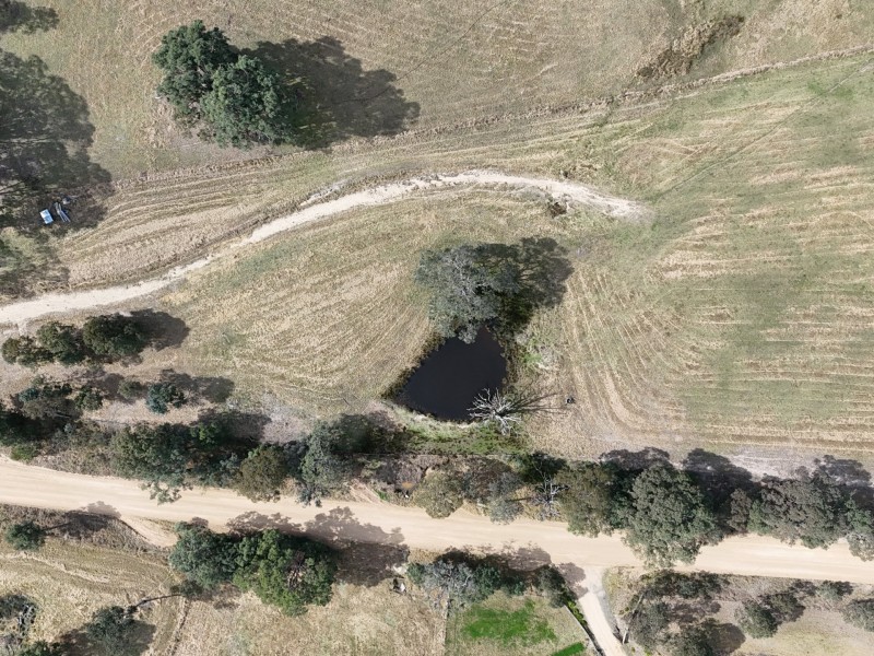 Lot 13 DP1102840 Slaters Lane, Candelo NSW 2550